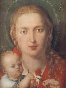 The Madonna with a Carna-tion Albrecht Durer